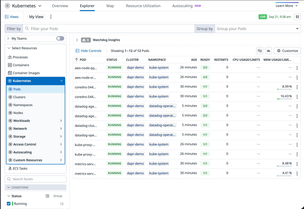 Datadog Kubernetes cluster monitoring dashboard showing EKS cluster metrics and health status