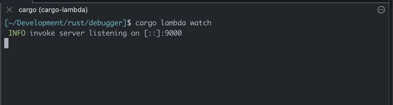 Starting the watcher